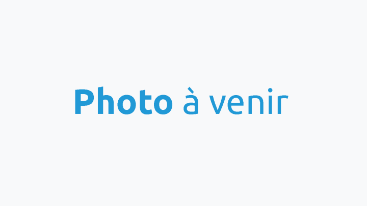 Canots