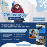 Camp de jour des Fêtes 2025 ❄️✨