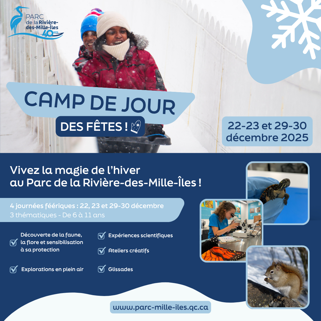 Camp de jour des Fêtes 2025 ❄️✨