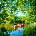 Kayak à l'aube
