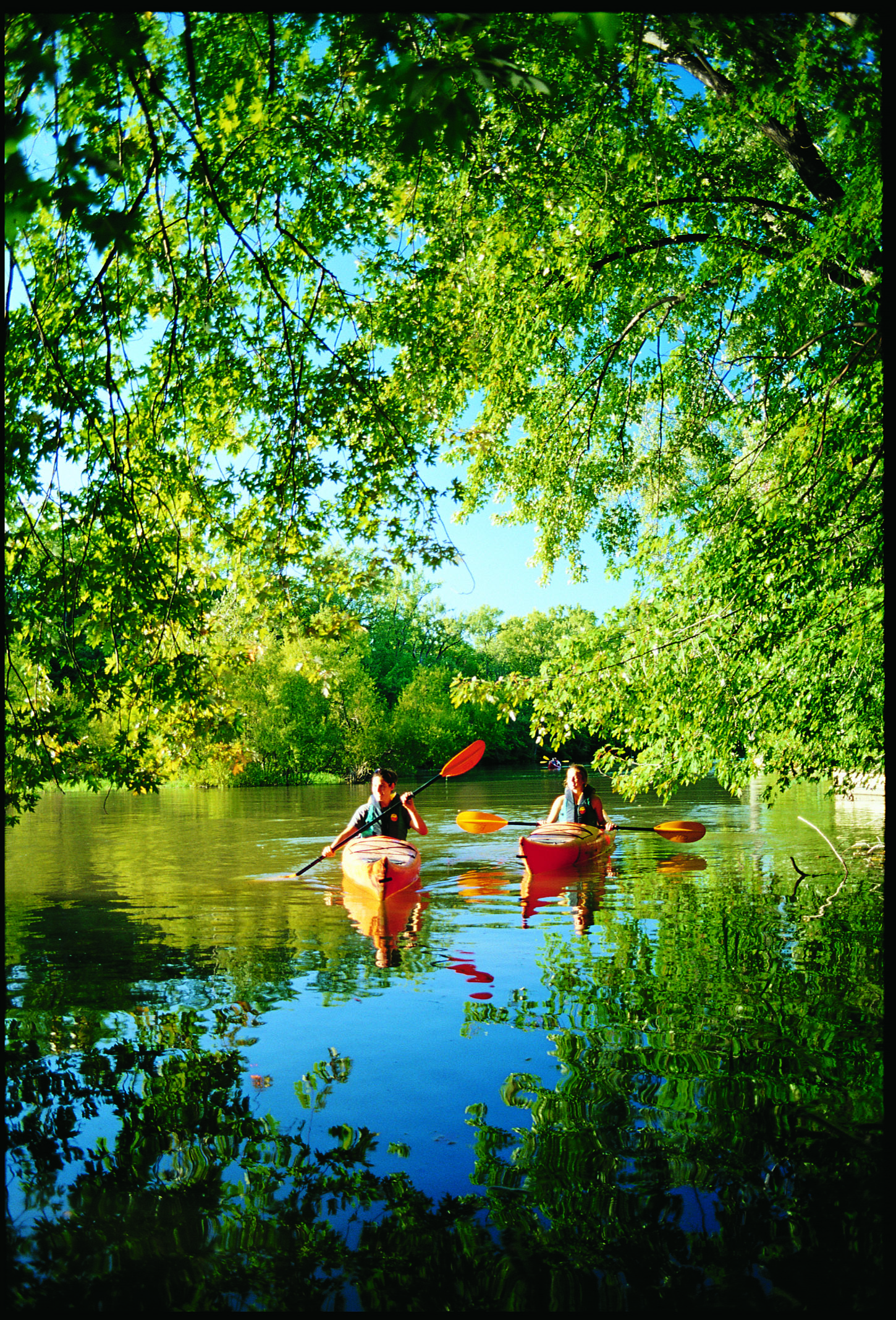 Kayak à l'aube