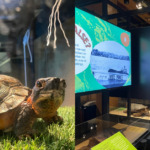Immersion naturelle : de l'exposition au laboratoire !