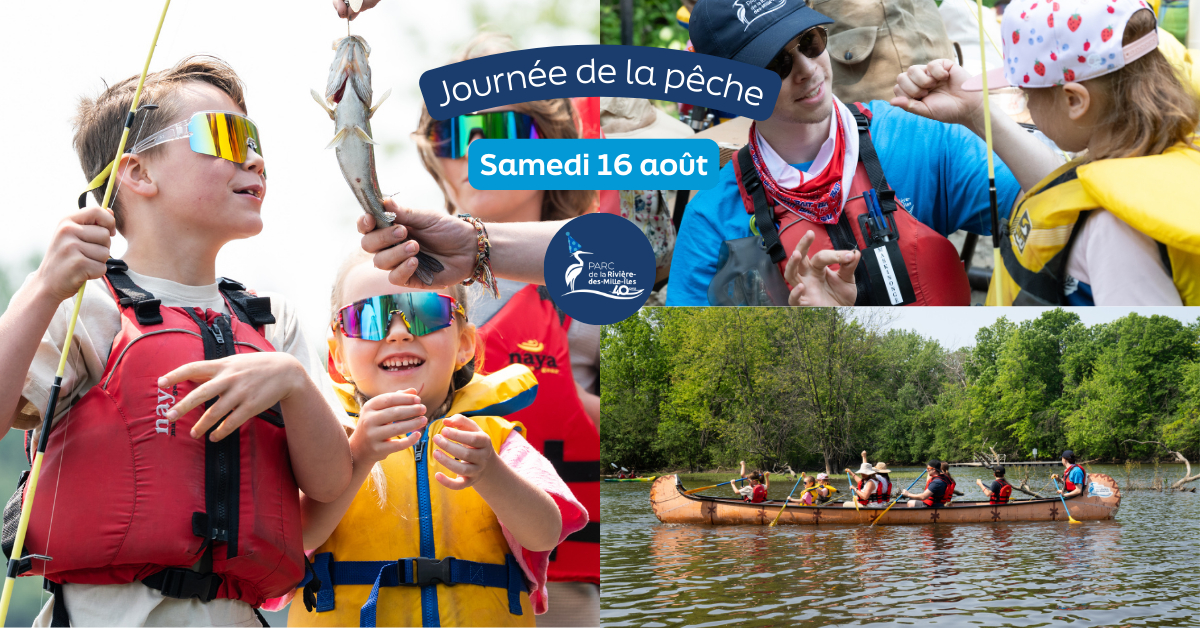 Journée de la pêche 🎣