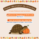 Atelier décoration de citrouilles et repas d’Halloween pour les tortues