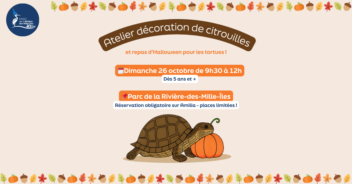 Atelier décoration de citrouilles et repas d’Halloween pour les tortues