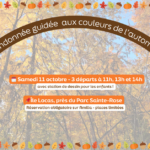 Randonnée guidée aux couleurs d'automne 🍂