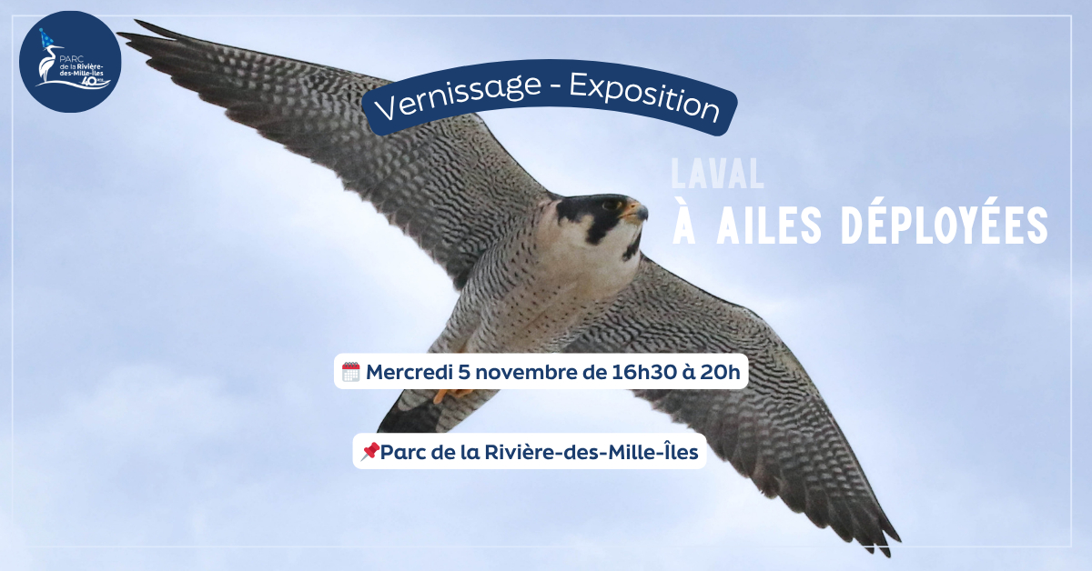 Vernissage - Exposition Laval, à ailes déployées