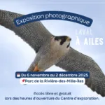 Exposition photographique - Laval, à ailes déployées