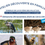 GRATUIT - Atelier découverte - Oiseaux de la Rivière-des-Mille-Îles