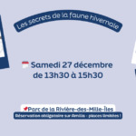 Les secrets de la faune hivernale 🦉