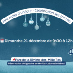 Animalier d'un jour - La célébration des tortues et fabrication d'ornements🎄