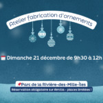 Atelier fabrication d'ornements - La célébration des tortues 🎄