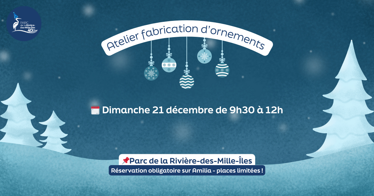 Atelier fabrication d'ornements - La célébration des tortues 🎄
