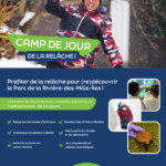 Camp de jour de la relâche ❄️💚