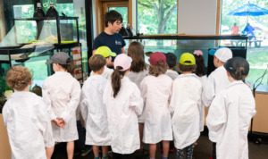 Enfants en sarrau regardant les tortues avec un animateur
